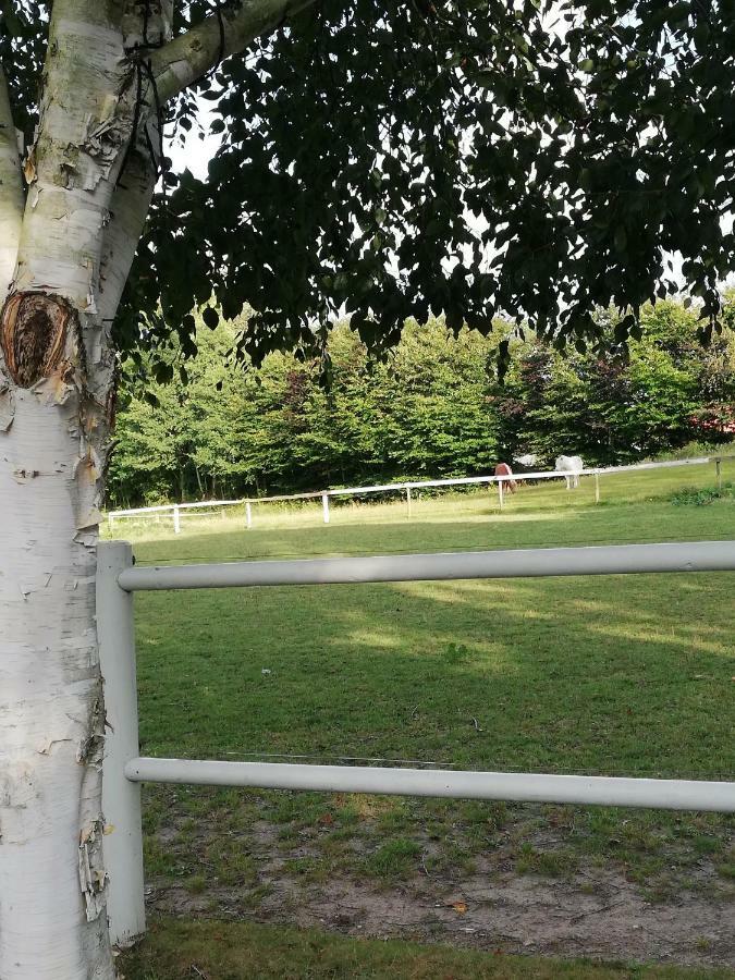 Apartmán Tankefuld Living'S Horsefarm Svendborg Exteriér fotografie